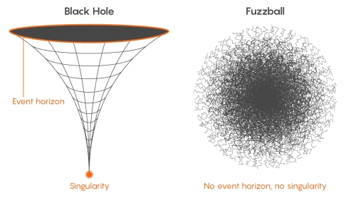 black hole and fuzz